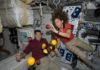 NASA: CERCASI VOLONTARI PER SIMULAZIONE SPAZIALE di Bruno Siciliano