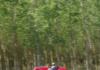 2027: UN SECOLO DI 1000MIGLIA